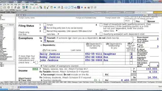 Lacerte Tax screenshot