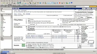 Lacerte Tax screenshot