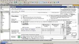 Lacerte Tax screenshot