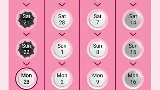 Lady Pill Reminder ® screenshot