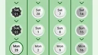 Lady Pill Reminder ® screenshot