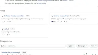 Laminas Project screenshot