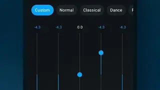 Lark Player screenshot