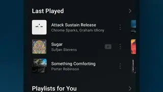 Lark Player screenshot