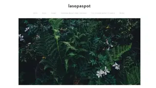 Lasopaspot Channel List Pc Editor screenshot