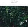 Lasopaspot Channel List Pc Editor