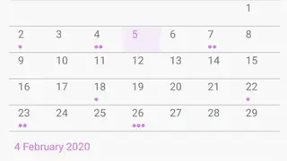 Laviolet Bullet Journal screenshot
