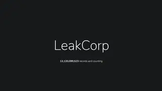 LeakCorp screenshot