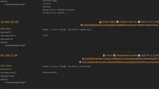 LeakIX screenshot