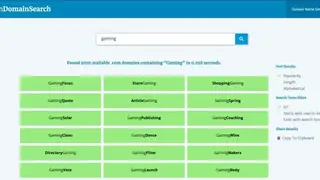 Lean Domain Search screenshot