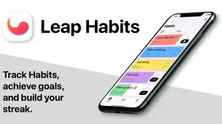 Leap Habits screenshot