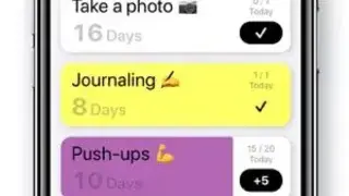 Leap Habits screenshot
