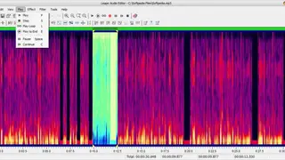 Leapic Audio Editor screenshot