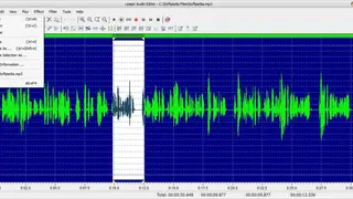 Leapic Audio Editor screenshot