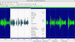 Leapic Audio Editor screenshot