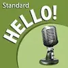 Learn to speak English grammar