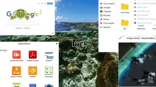 Leena Desktop screenshot
