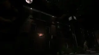 Left Alone screenshot