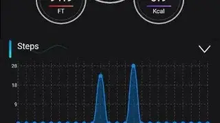 Lefun Health screenshot