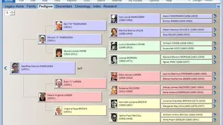 Legacy Family Tree screenshot