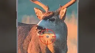 Lenzmark Hunt free deer hunting gps & tracker app. screenshot