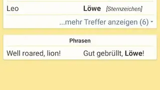 Leo Dictionary screenshot