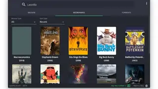 Leonflix screenshot