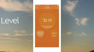 Level Money screenshot