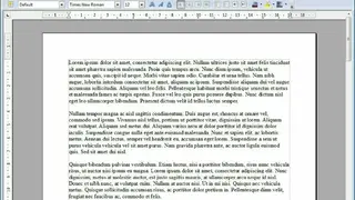 LibreOffice Writer screenshot