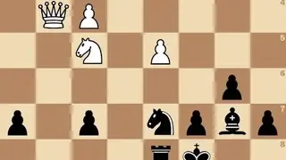 lichess Chess database screenshot