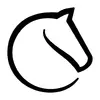 lichess Chess database