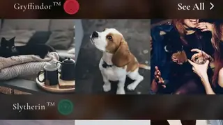 Lifeprint Photos screenshot