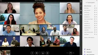 Lifesize Video Meetings screenshot