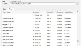 LIII BitTorrent Client screenshot