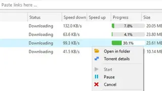 LIII BitTorrent Client screenshot