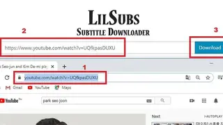 Lilsubs screenshot