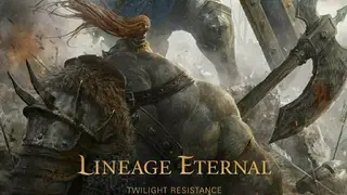 Lineage Eternal: Twilight Resistance screenshot