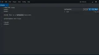 Lines code editor screenshot