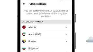 Lingvanex screenshot