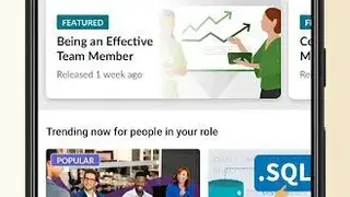 LinkedIn Learning screenshot