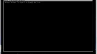 Linux From Scratch screenshot