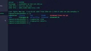 LinuxGSM screenshot