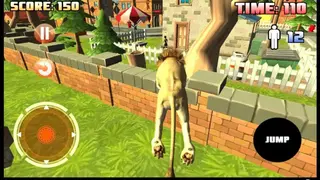 Lion Simulator 3D screenshot
