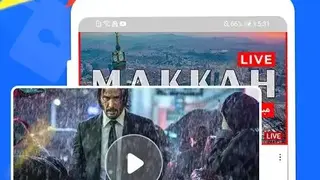 Lion VPN screenshot