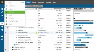 LiquidPlanner screenshot