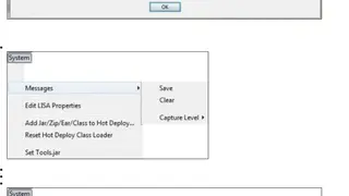LISA Solutions screenshot