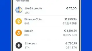 LiteBit screenshot