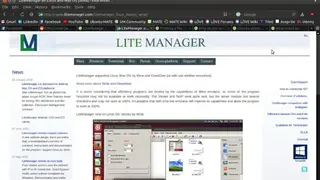 LiteManager screenshot