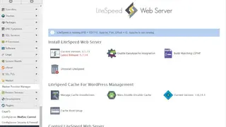 LiteSpeed Web Server screenshot
