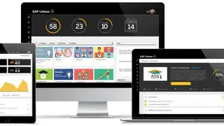 Litmos Healthcare LMS screenshot